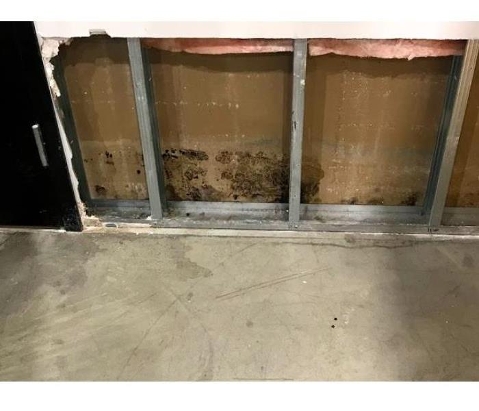Mold in commercial building