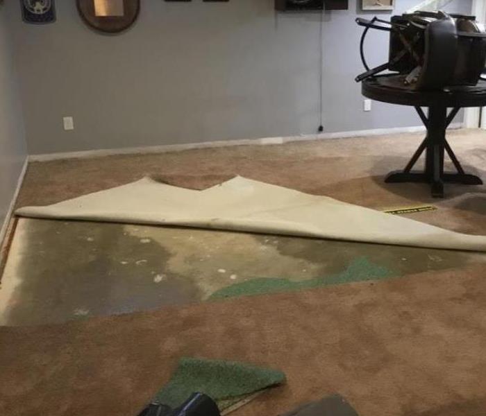 water damaged carpet